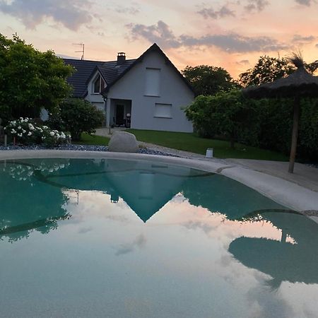 Grande Maison Au Calme Ensisheim Buitenkant foto