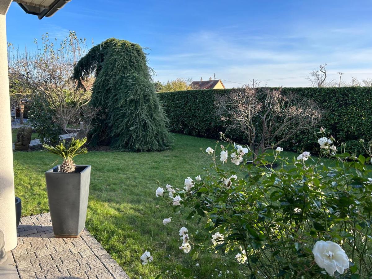 Grande Maison Au Calme Ensisheim Buitenkant foto